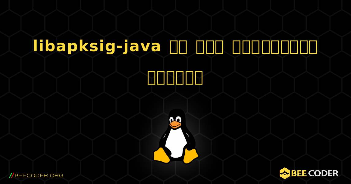 libapksig-java ని ఎలా ఇన్‌స్టాల్ చేయాలి. Linux