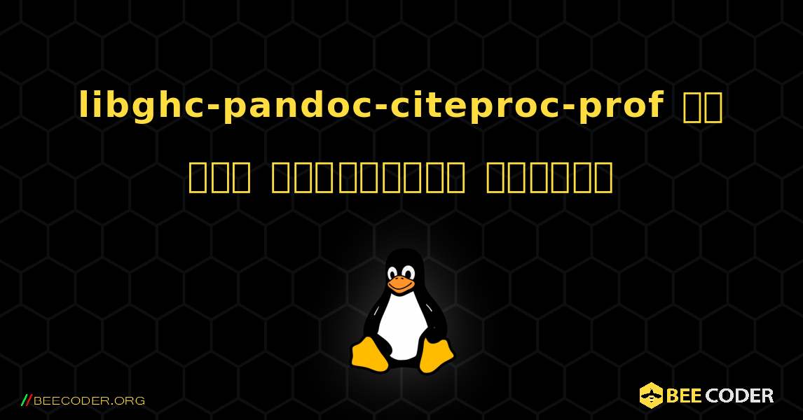 libghc-pandoc-citeproc-prof ని ఎలా ఇన్‌స్టాల్ చేయాలి. Linux