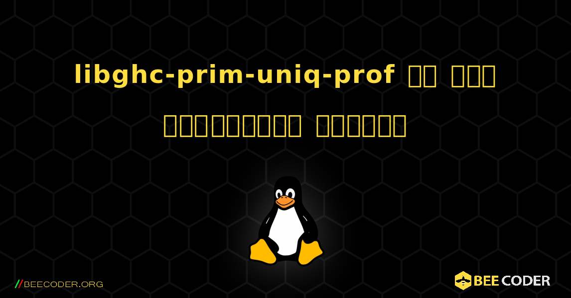 libghc-prim-uniq-prof ని ఎలా ఇన్‌స్టాల్ చేయాలి. Linux