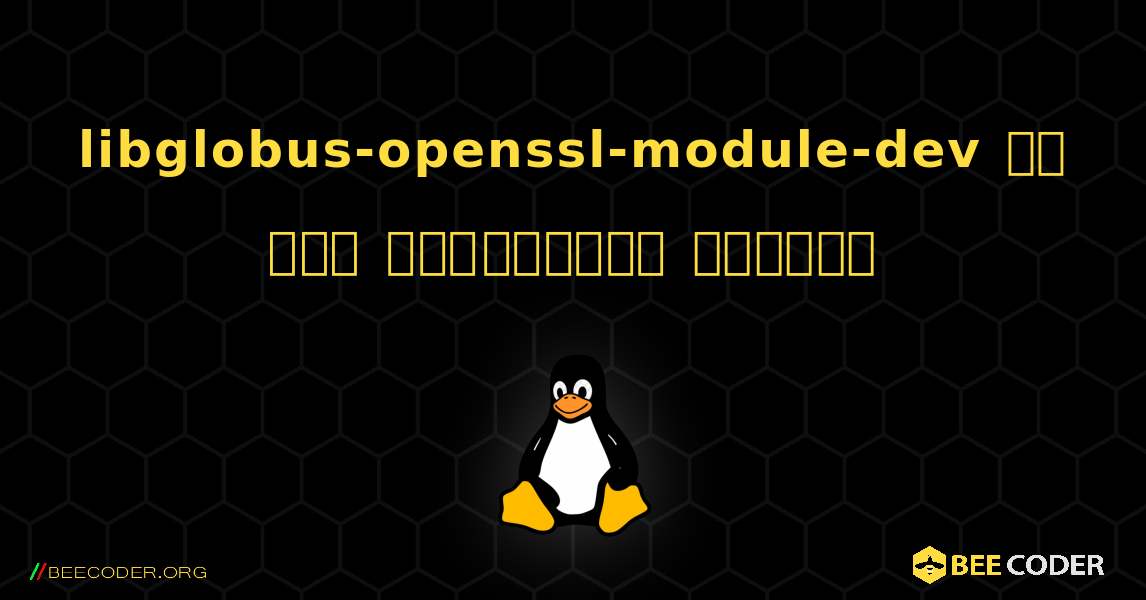 libglobus-openssl-module-dev ని ఎలా ఇన్‌స్టాల్ చేయాలి. Linux