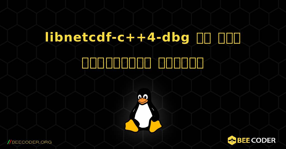 libnetcdf-c++4-dbg ని ఎలా ఇన్‌స్టాల్ చేయాలి. Linux