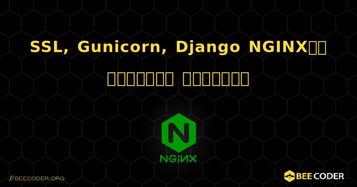 SSL, Gunicorn, Django NGINXకి కనెక్ట్ అవుతాయి. NGINX