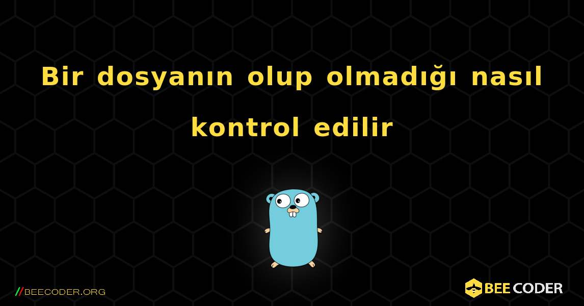 Bir dosyanın olup olmadığı nasıl kontrol edilir. GoLang