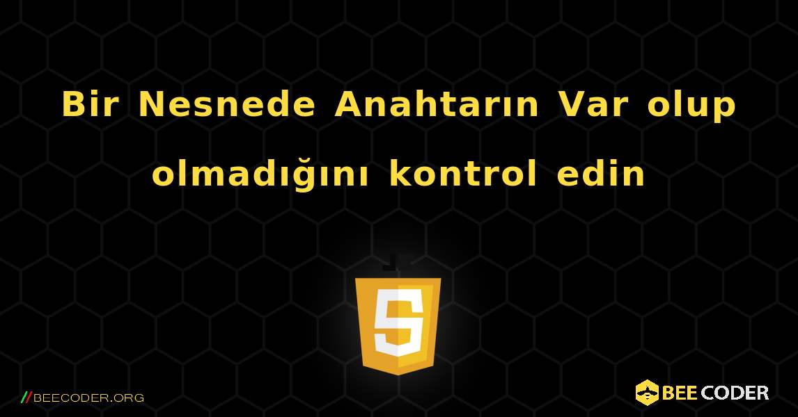 Bir Nesnede Anahtarın Var olup olmadığını kontrol edin. JavaScript