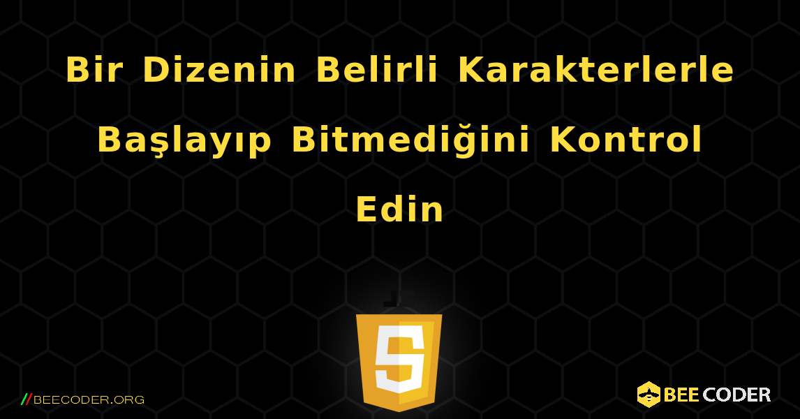 Bir Dizenin Belirli Karakterlerle Başlayıp Bitmediğini Kontrol Edin. JavaScript