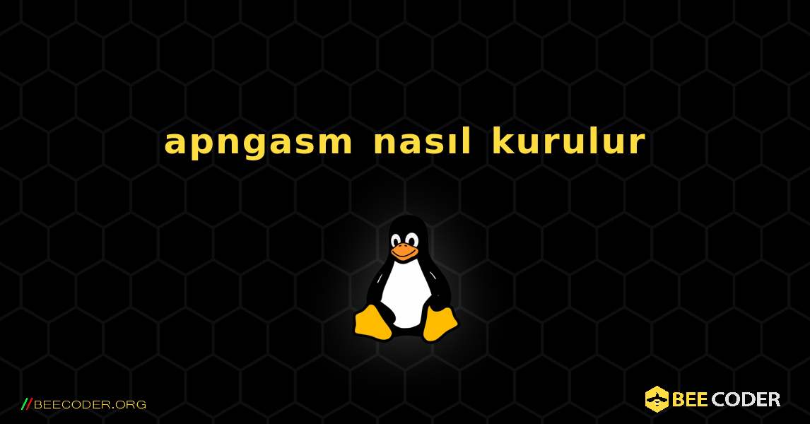 apngasm  nasıl kurulur. Linux