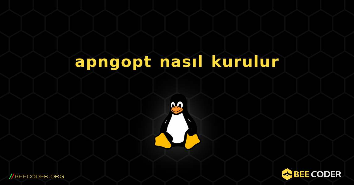 apngopt  nasıl kurulur. Linux
