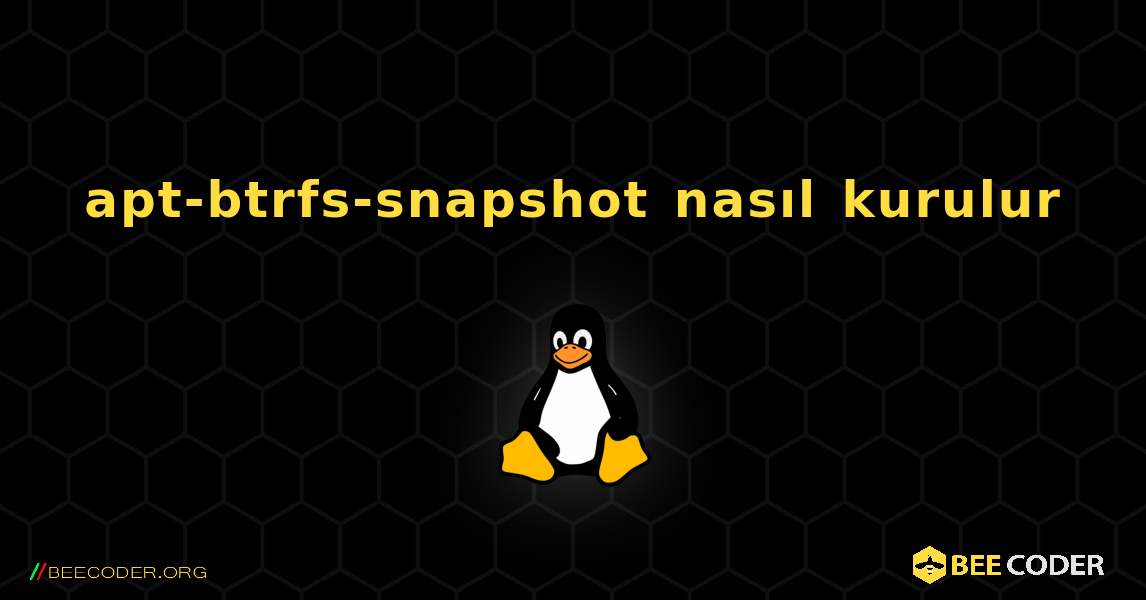 apt-btrfs-snapshot  nasıl kurulur. Linux