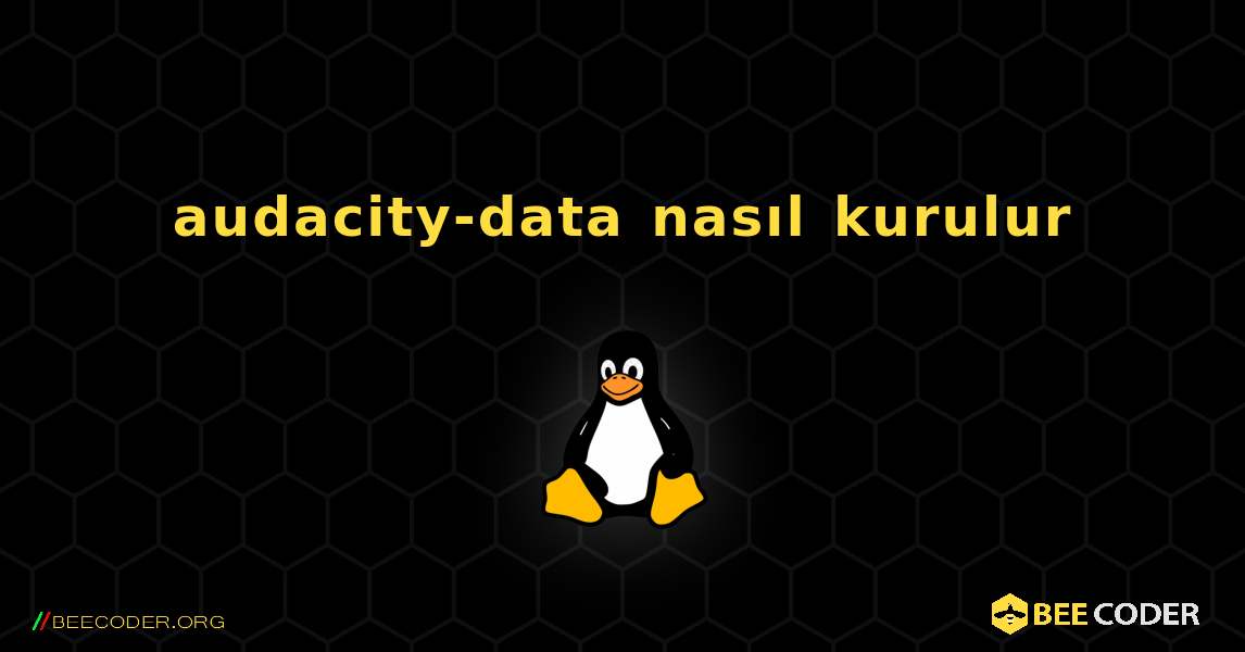 audacity-data  nasıl kurulur. Linux
