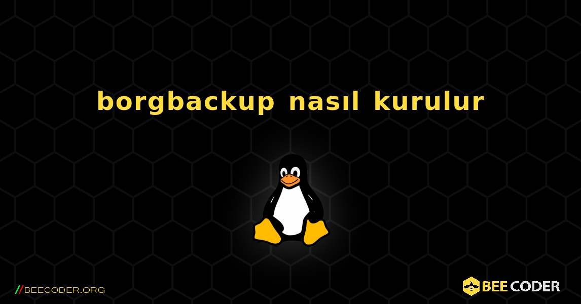borgbackup  nasıl kurulur. Linux