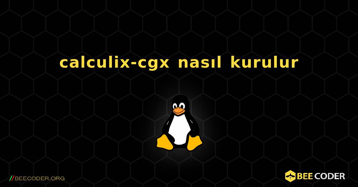 calculix-cgx  nasıl kurulur. Linux
