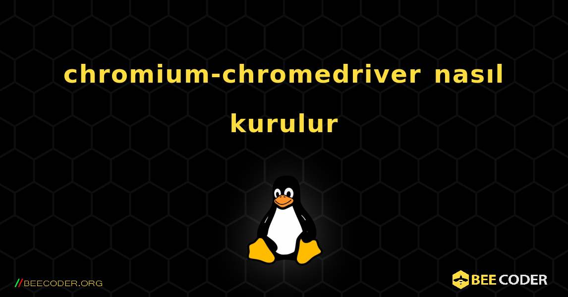 chromium-chromedriver  nasıl kurulur. Linux