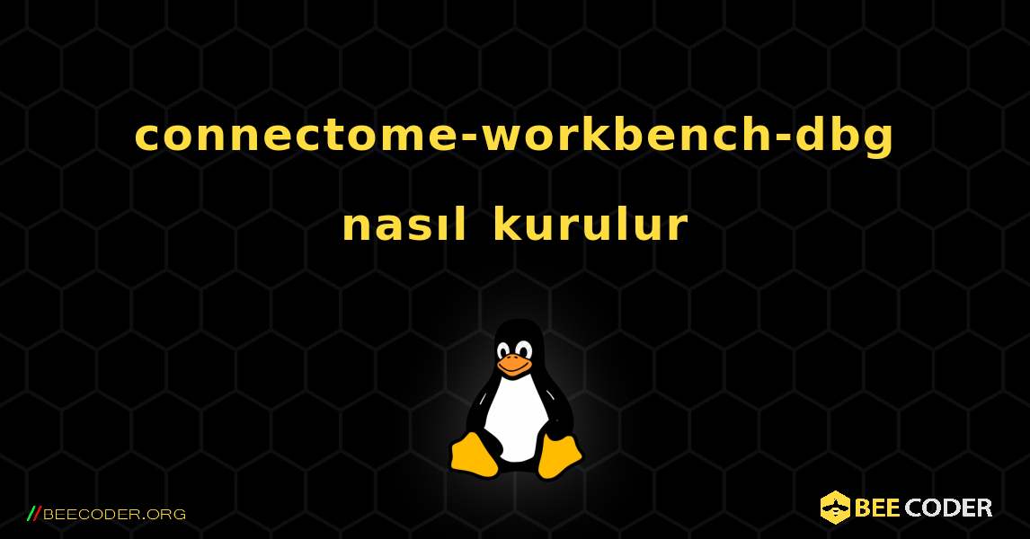 connectome-workbench-dbg  nasıl kurulur. Linux