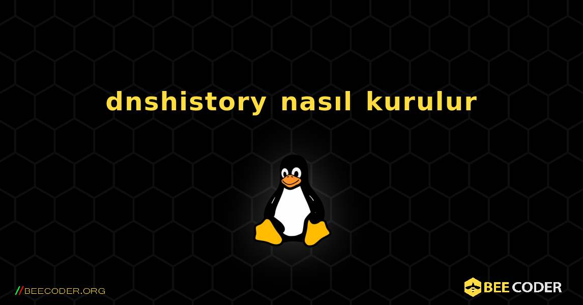 dnshistory  nasıl kurulur. Linux