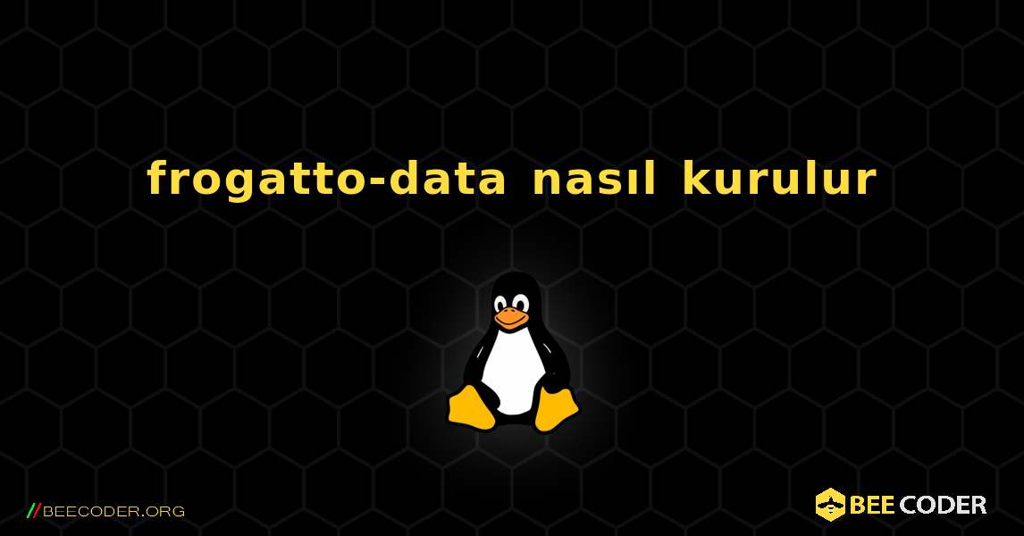 frogatto-data  nasıl kurulur. Linux