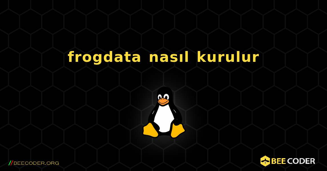 frogdata  nasıl kurulur. Linux