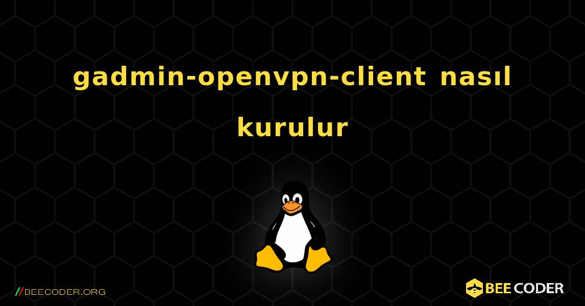 gadmin-openvpn-client  nasıl kurulur. Linux