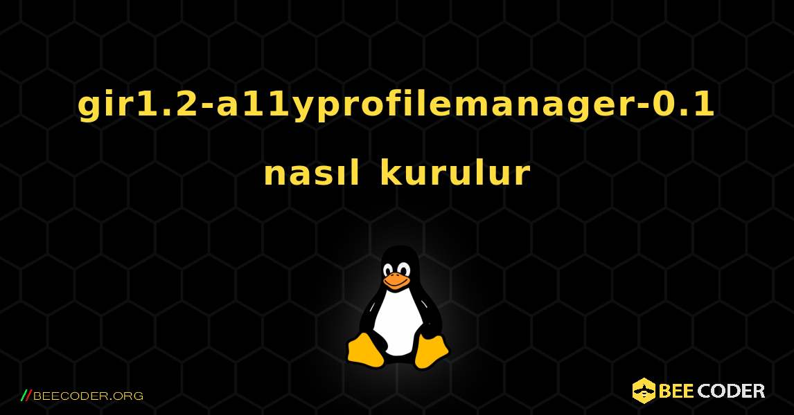 gir1.2-a11yprofilemanager-0.1  nasıl kurulur. Linux