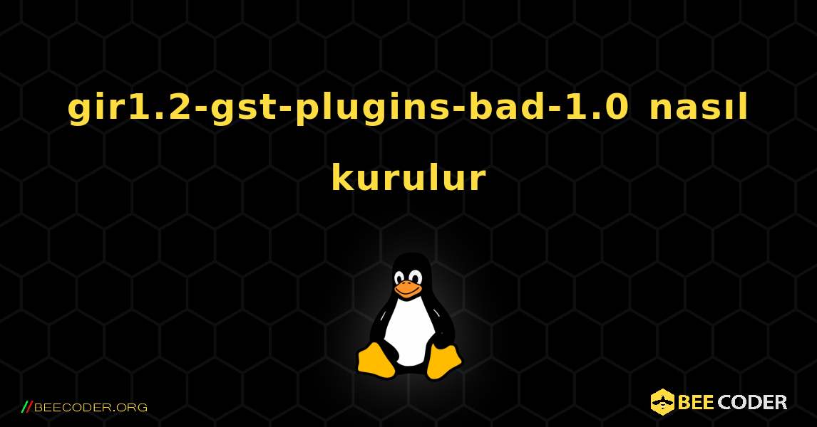 gir1.2-gst-plugins-bad-1.0  nasıl kurulur. Linux