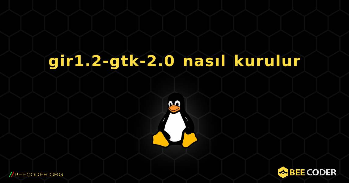 gir1.2-gtk-2.0  nasıl kurulur. Linux