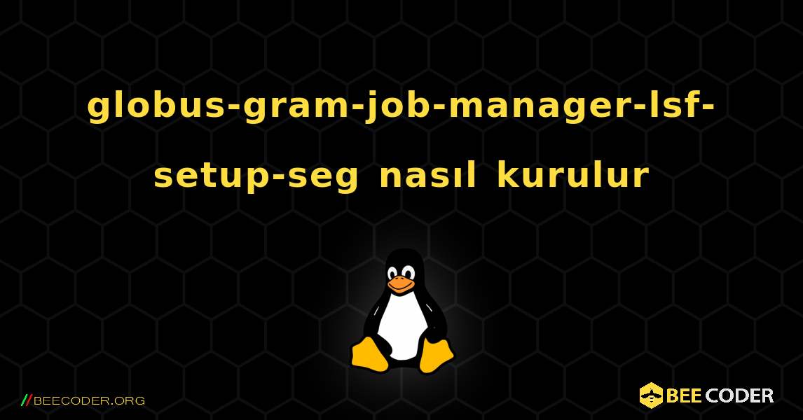 globus-gram-job-manager-lsf-setup-seg  nasıl kurulur. Linux