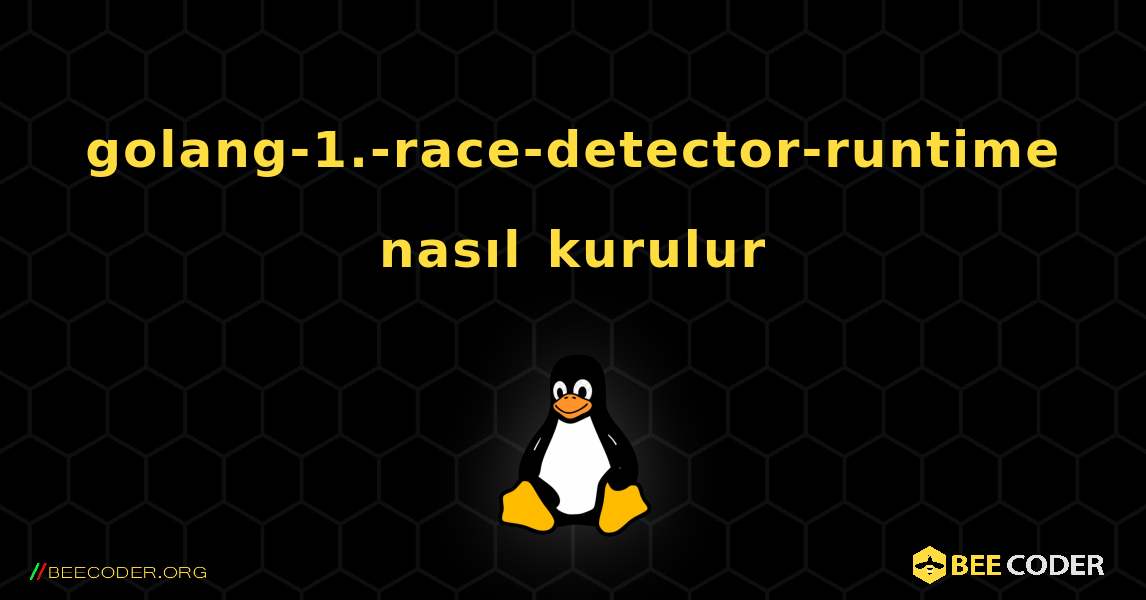golang-1.-race-detector-runtime  nasıl kurulur. Linux