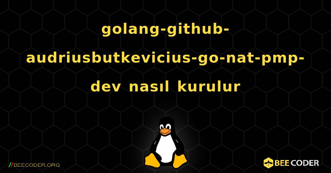 golang-github-audriusbutkevicius-go-nat-pmp-dev  nasıl kurulur. Linux