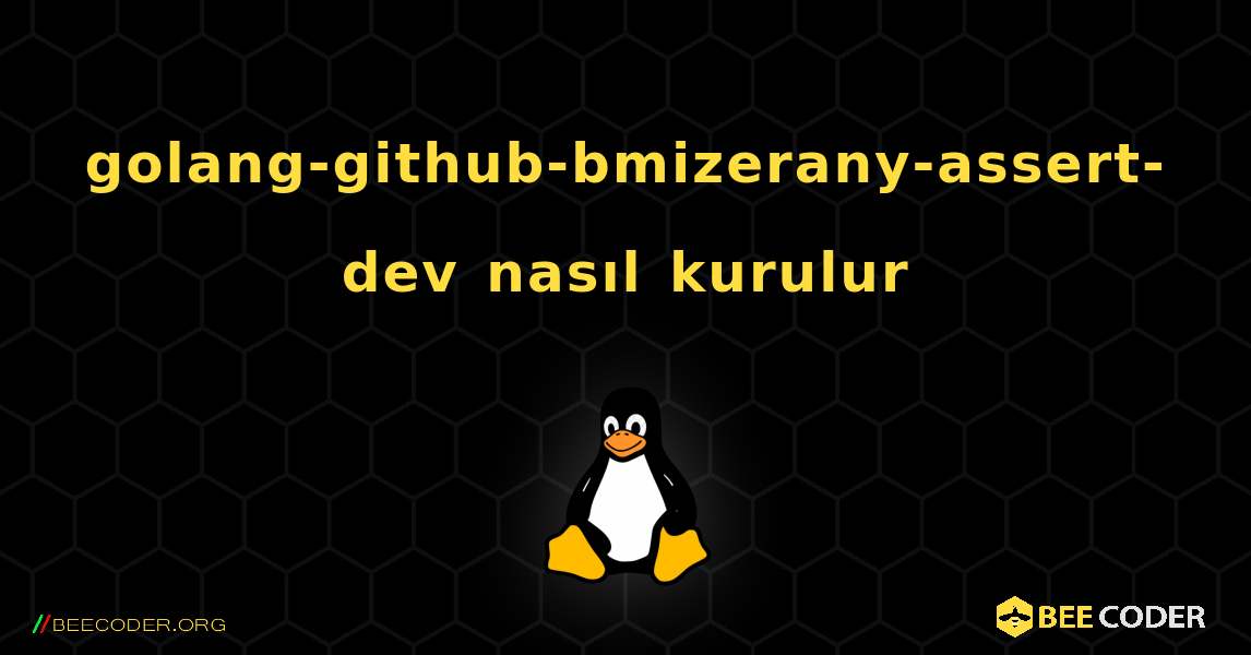 golang-github-bmizerany-assert-dev  nasıl kurulur. Linux