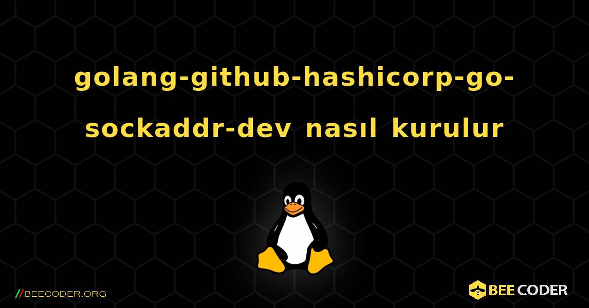 golang-github-hashicorp-go-sockaddr-dev  nasıl kurulur. Linux