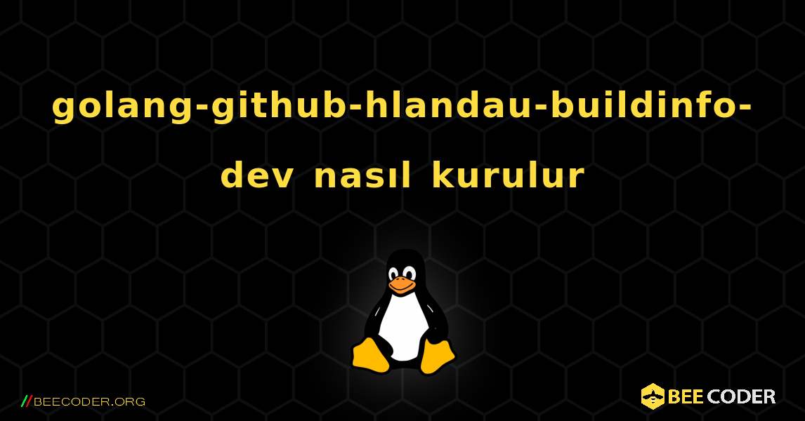 golang-github-hlandau-buildinfo-dev  nasıl kurulur. Linux
