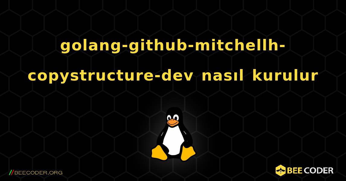 golang-github-mitchellh-copystructure-dev  nasıl kurulur. Linux