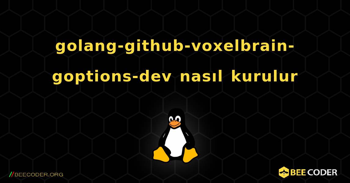 golang-github-voxelbrain-goptions-dev  nasıl kurulur. Linux
