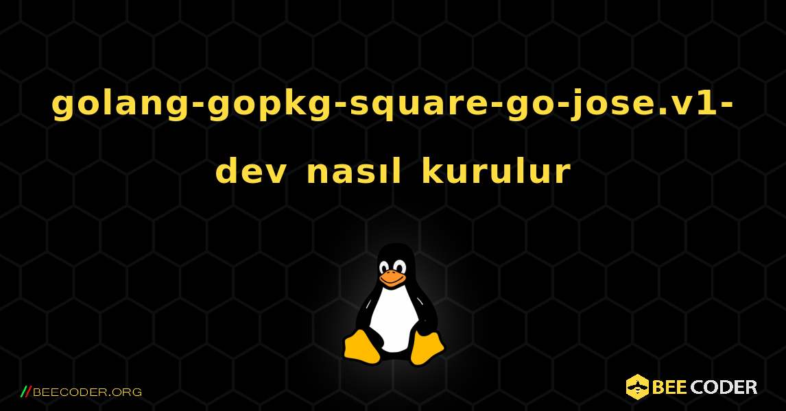 golang-gopkg-square-go-jose.v1-dev  nasıl kurulur. Linux