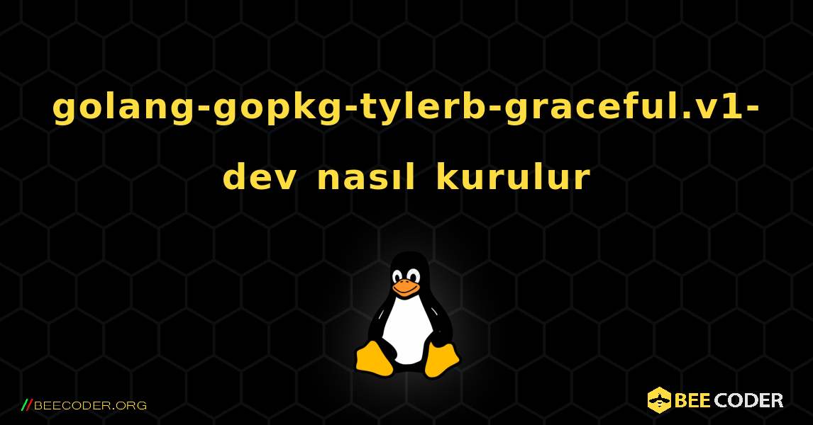 golang-gopkg-tylerb-graceful.v1-dev  nasıl kurulur. Linux