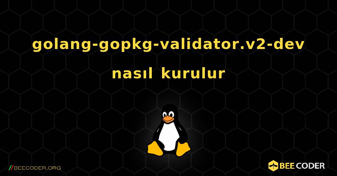 golang-gopkg-validator.v2-dev  nasıl kurulur. Linux