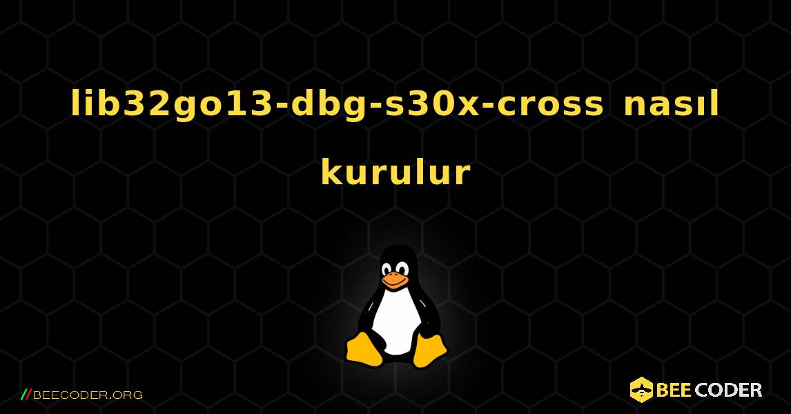 lib32go13-dbg-s30x-cross  nasıl kurulur. Linux