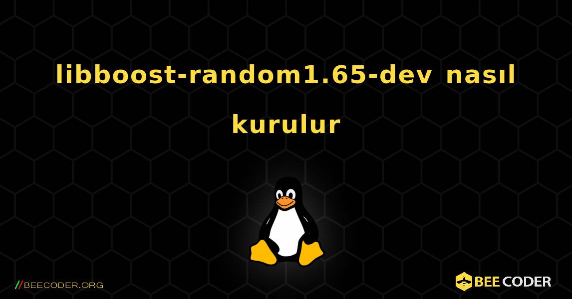 libboost-random1.65-dev  nasıl kurulur. Linux