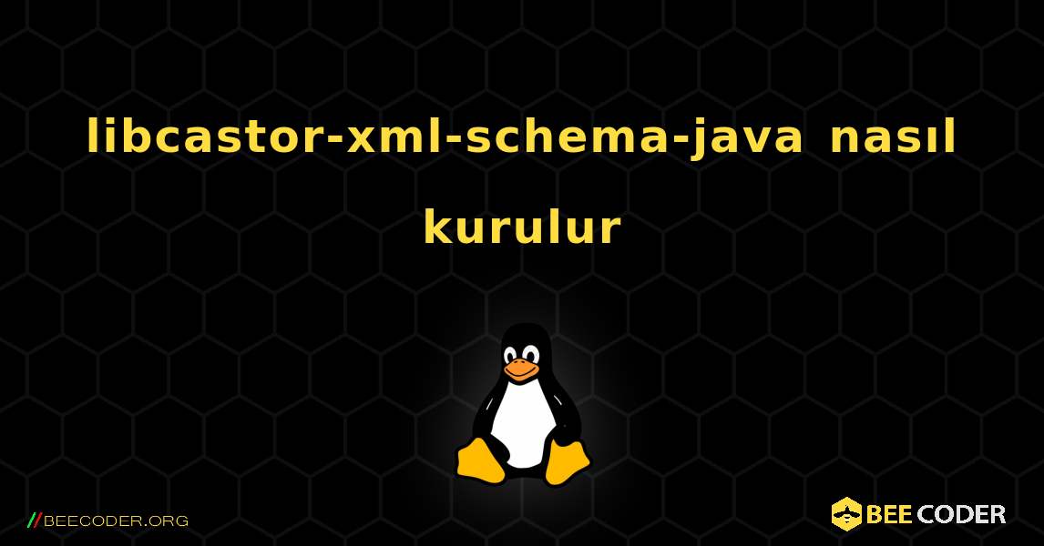 libcastor-xml-schema-java  nasıl kurulur. Linux