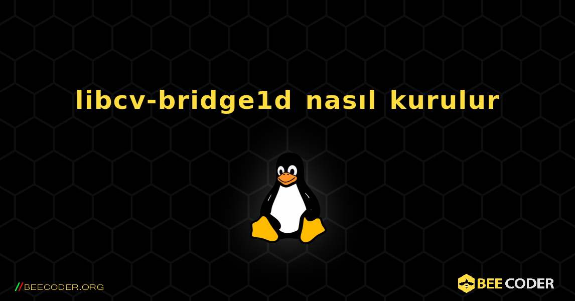 libcv-bridge1d  nasıl kurulur. Linux