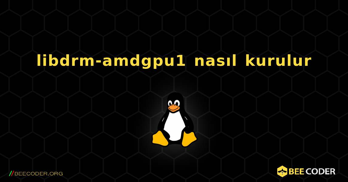 libdrm-amdgpu1  nasıl kurulur. Linux