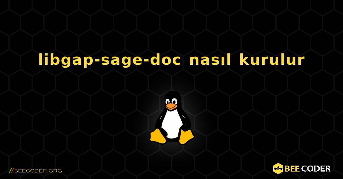 libgap-sage-doc  nasıl kurulur. Linux