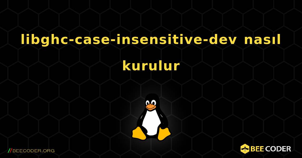 libghc-case-insensitive-dev  nasıl kurulur. Linux