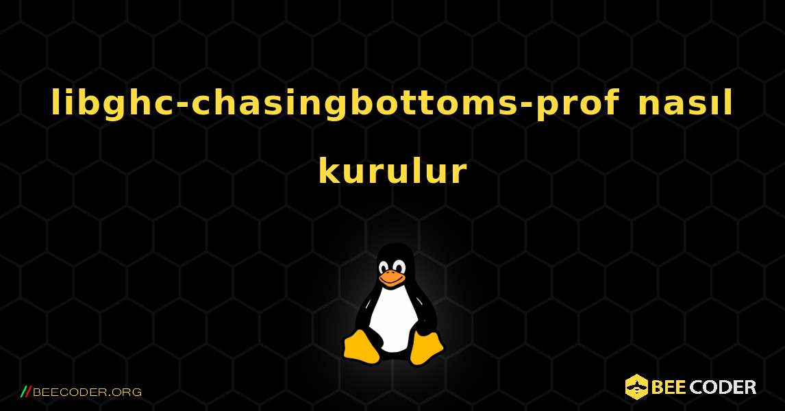 libghc-chasingbottoms-prof  nasıl kurulur. Linux