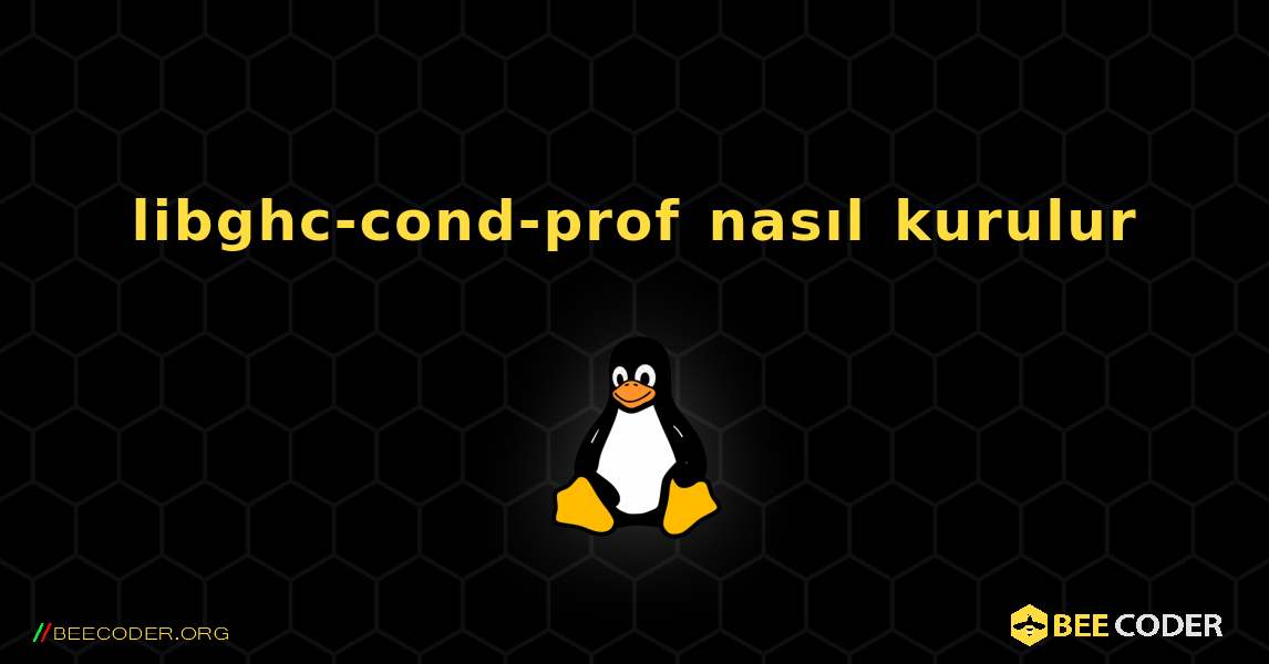 libghc-cond-prof  nasıl kurulur. Linux