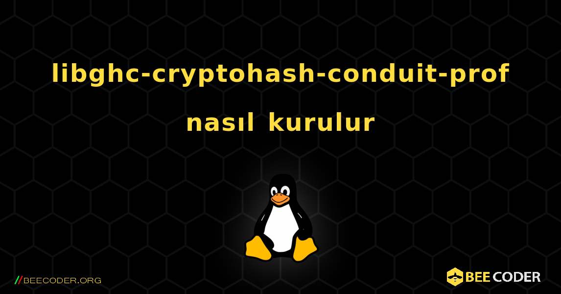 libghc-cryptohash-conduit-prof  nasıl kurulur. Linux