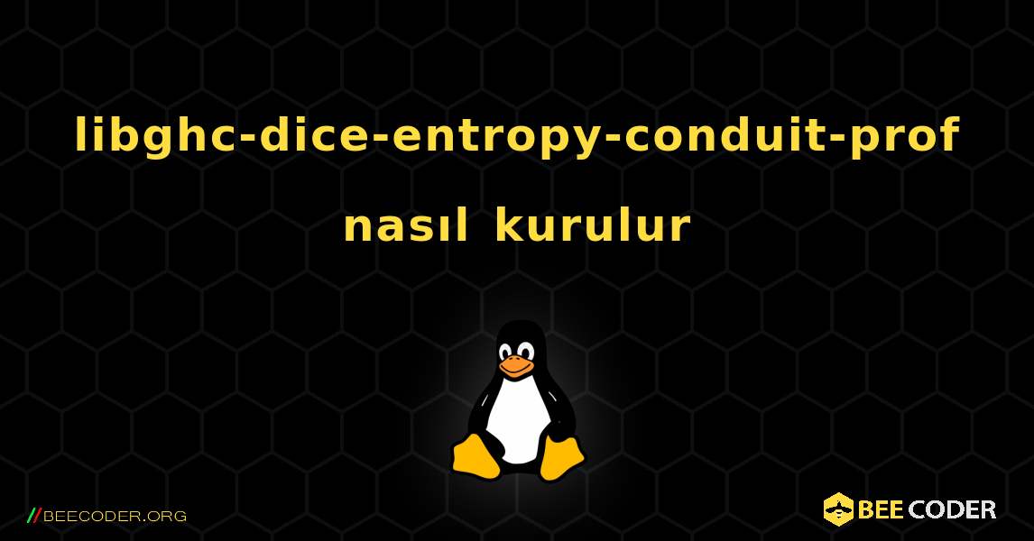 libghc-dice-entropy-conduit-prof  nasıl kurulur. Linux
