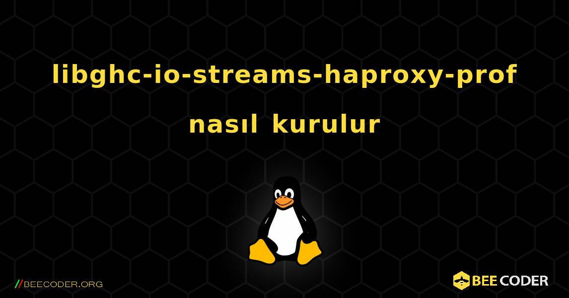 libghc-io-streams-haproxy-prof  nasıl kurulur. Linux