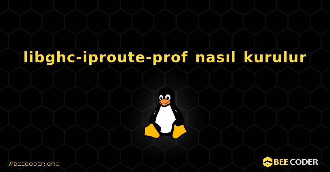 libghc-iproute-prof  nasıl kurulur. Linux