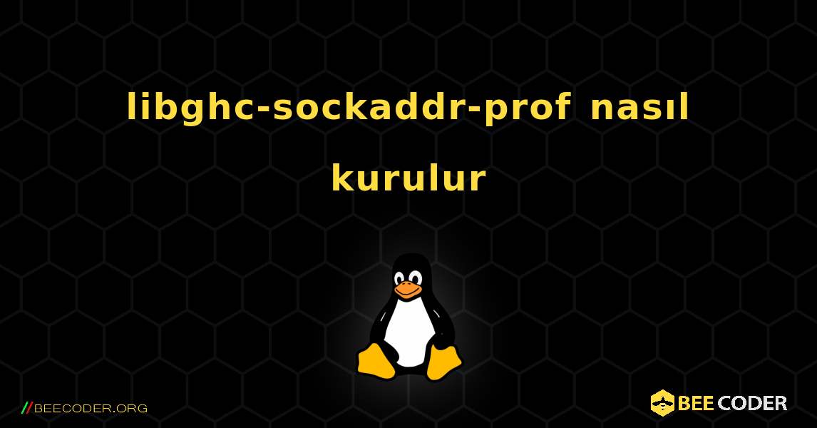 libghc-sockaddr-prof  nasıl kurulur. Linux