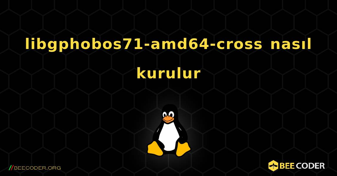 libgphobos71-amd64-cross  nasıl kurulur. Linux